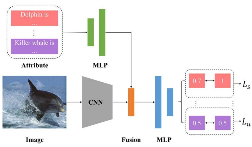 Adaptive Margin-based Contrastive Network for Generalized Zero-Shot Learning