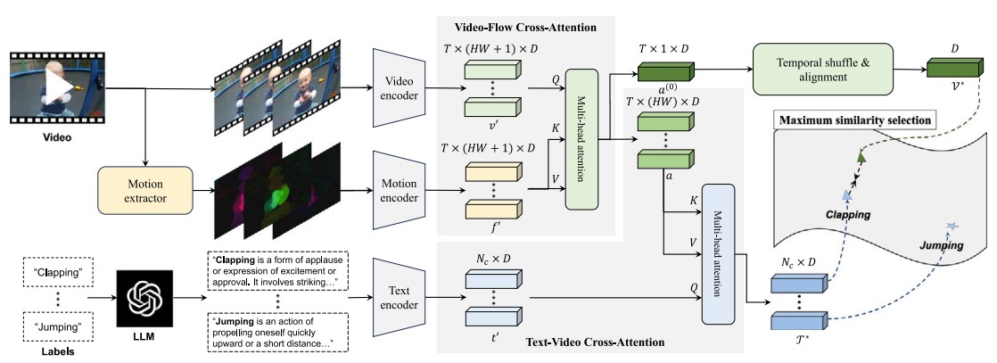 ESC-ZSAR: Expanded Semantics from Categories with Cross-Attention for Zero-Shot Action Recognition