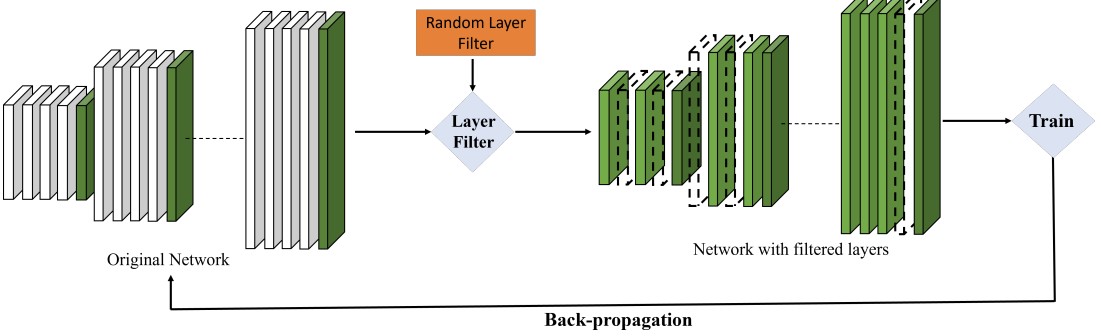 EvolveNet: Evolving Networks by Learning Scale of Depth and Width