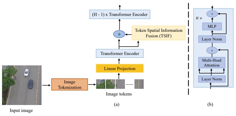 Semantic Segmentation of UAV Images based on Transformer Framework with Context Information
