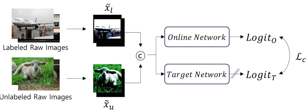 A Similarity-based Training Strategy with Network-level Perturbation for Semi-supervised Semantic Segmentation