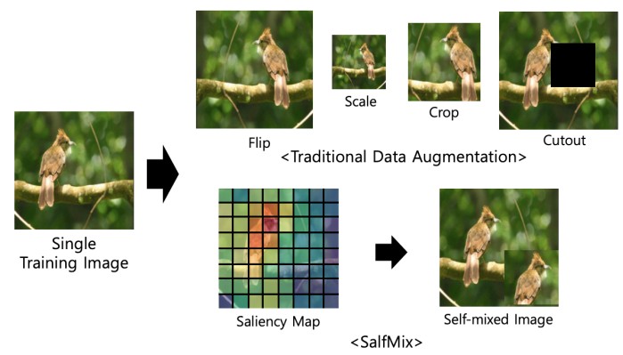 SalfMix: A Novel Single Image-Based Data Augmentation Technique Using a Saliency Map